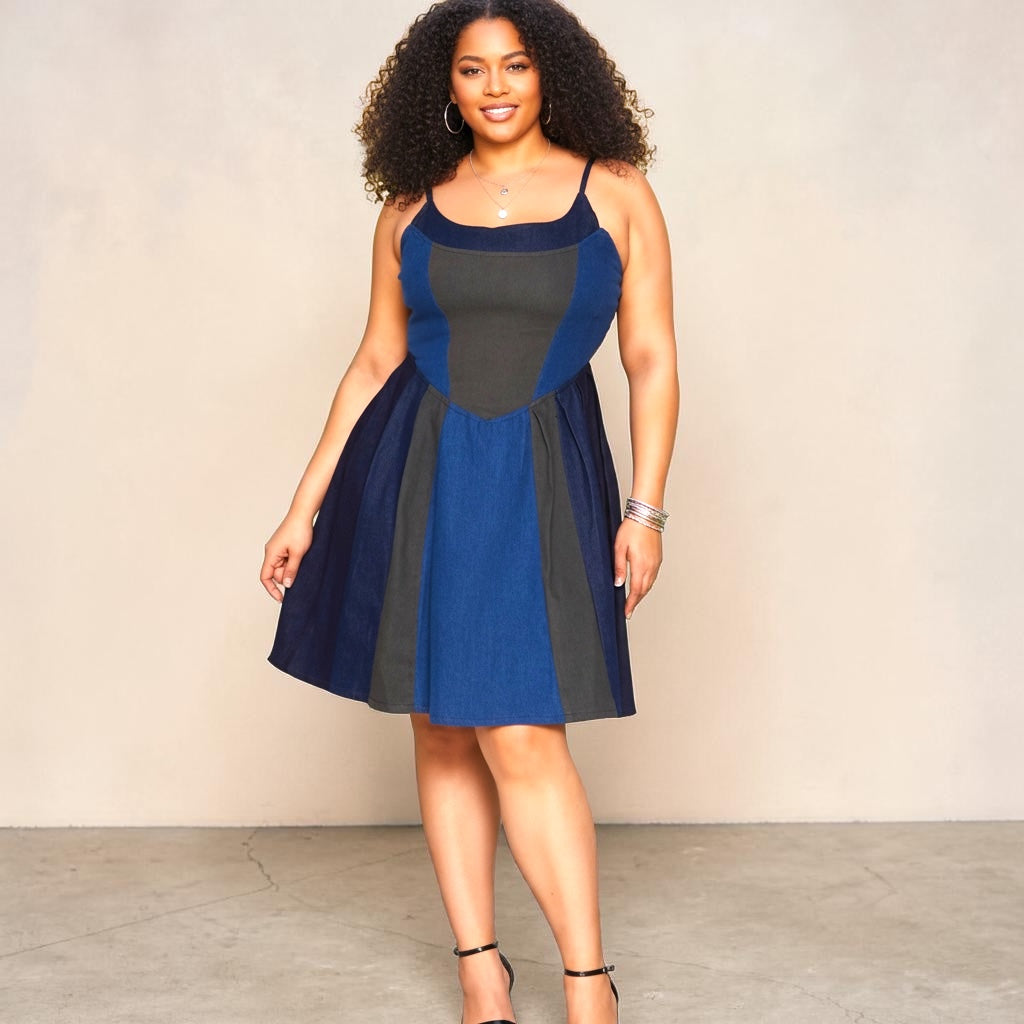 Plus Size Denim Skater Dress